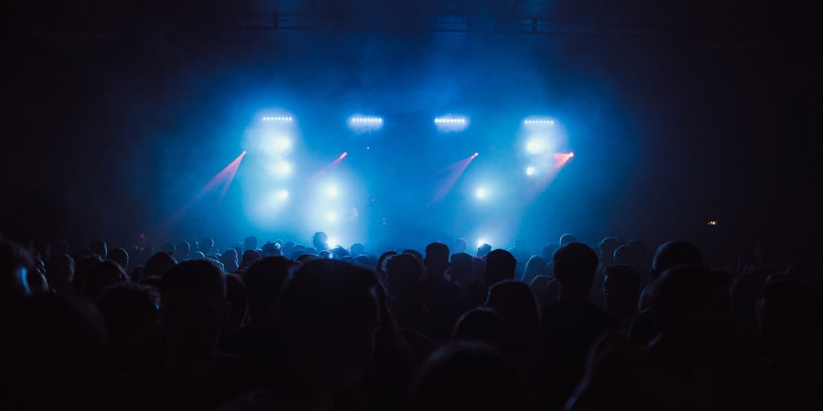 Concert crowd watching a live performance