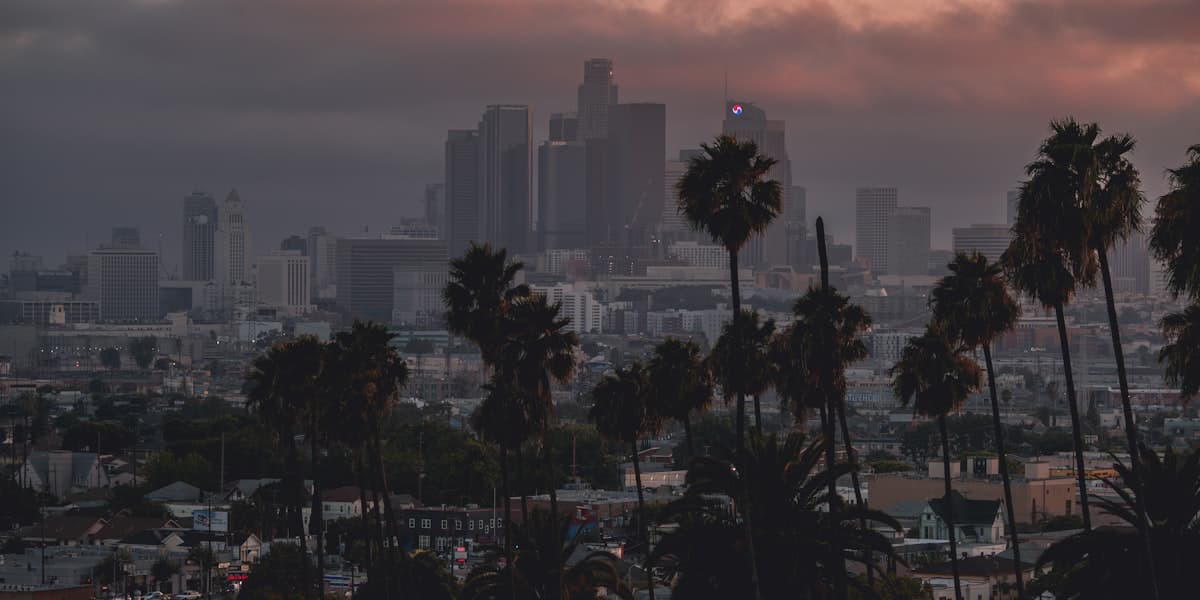 Los Angeles city skyline with palm trees